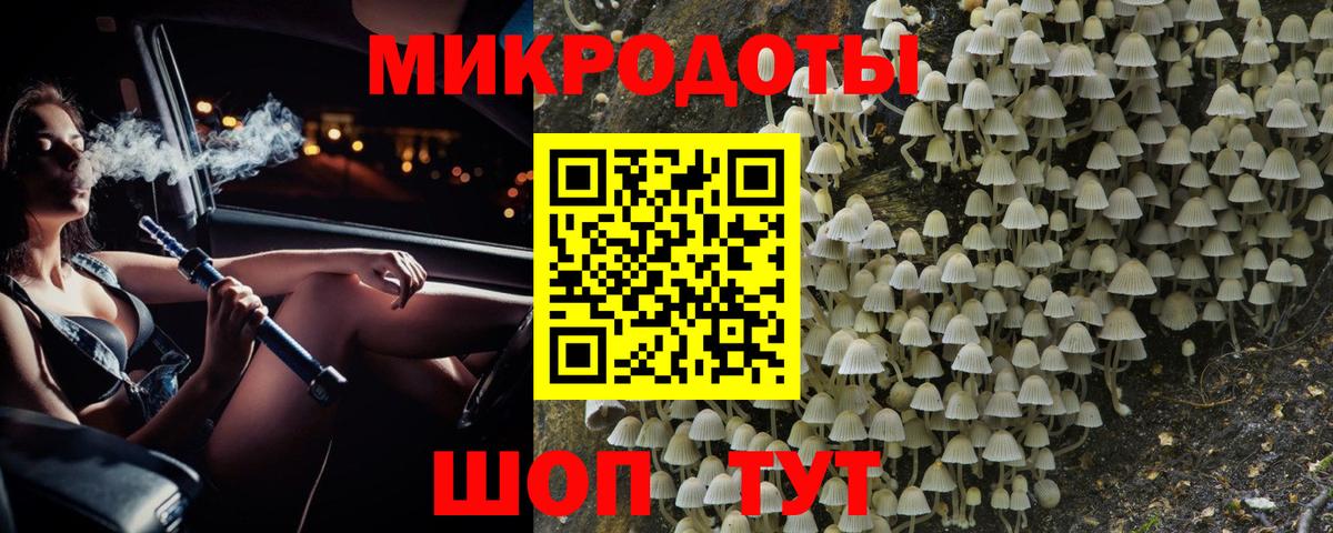 где купить наркоту  Псилоцибиновые грибы мухоморы  Вход с VPN  Волгоград 